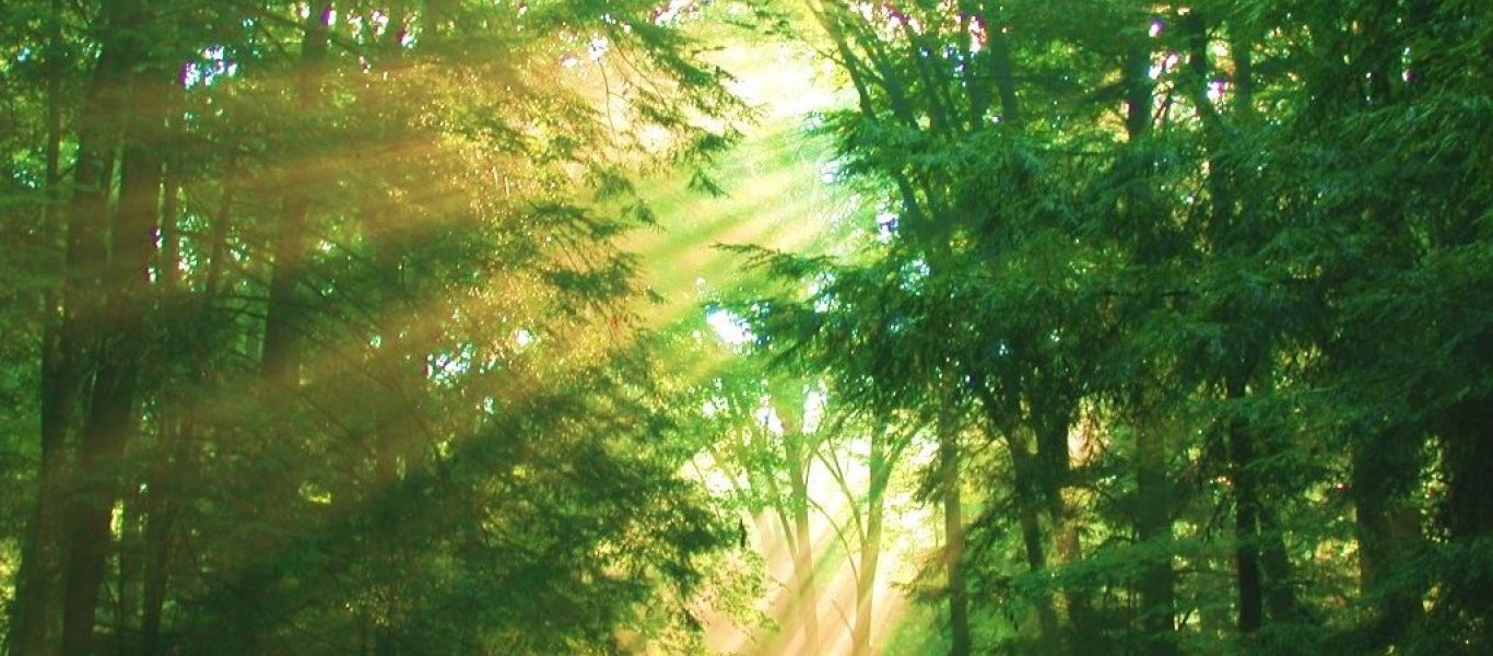 Αντι-στρες: Γιατί μας ηρεμούν οι ήχοι της φύσης